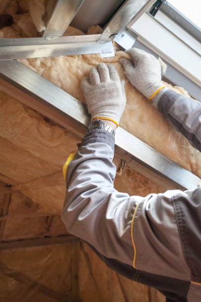 Best Eco-Friendly Insulation in Bayonne, NJ